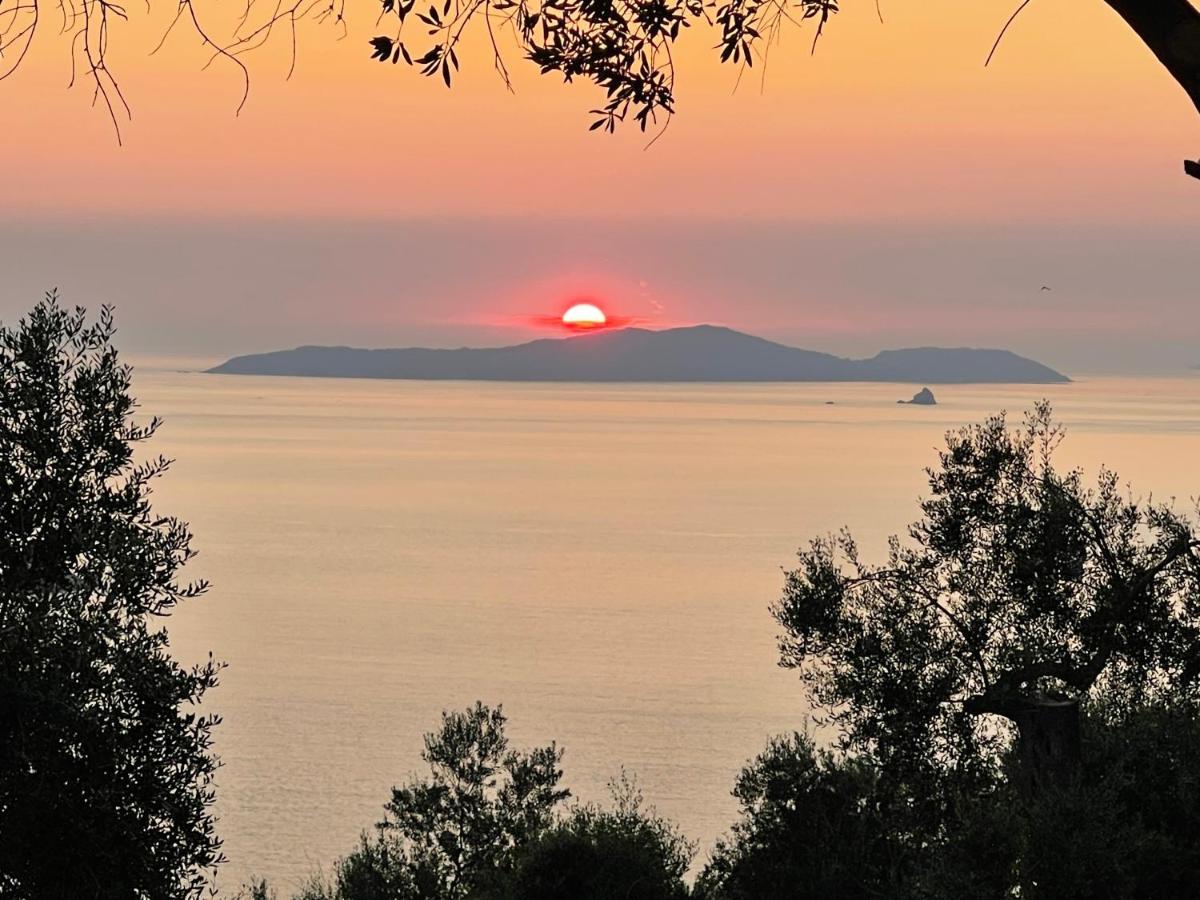 Arillas Hillside Villa 3 - Provence المظهر الخارجي الصورة